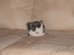 IMG_0612.JPG